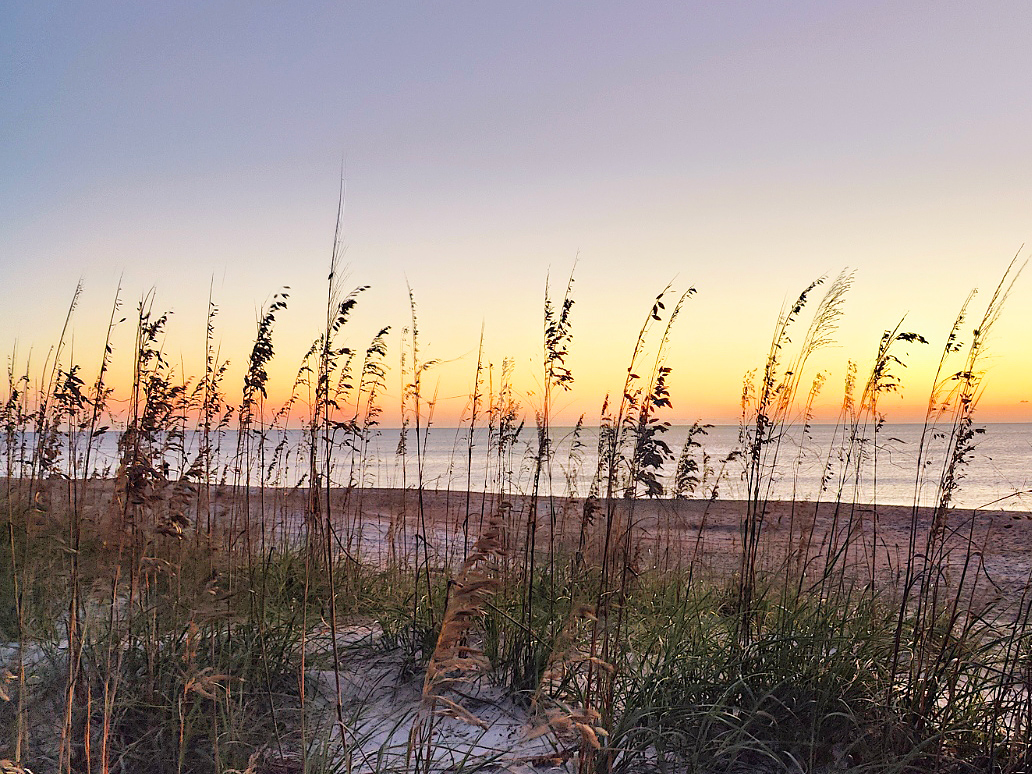 beach view fall morning